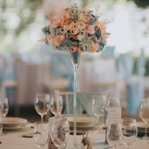 295ffe56 6ec8 43da bb1b 94a6124e39b4